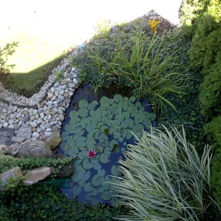 Apartment Siofok 18 Lägenhet *