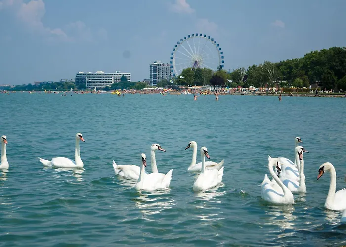 Apartment Apartment Siofok 18